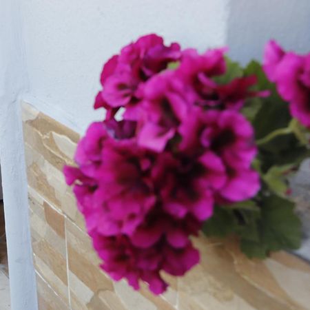 Guesthouse Seli Берат Экстерьер фото